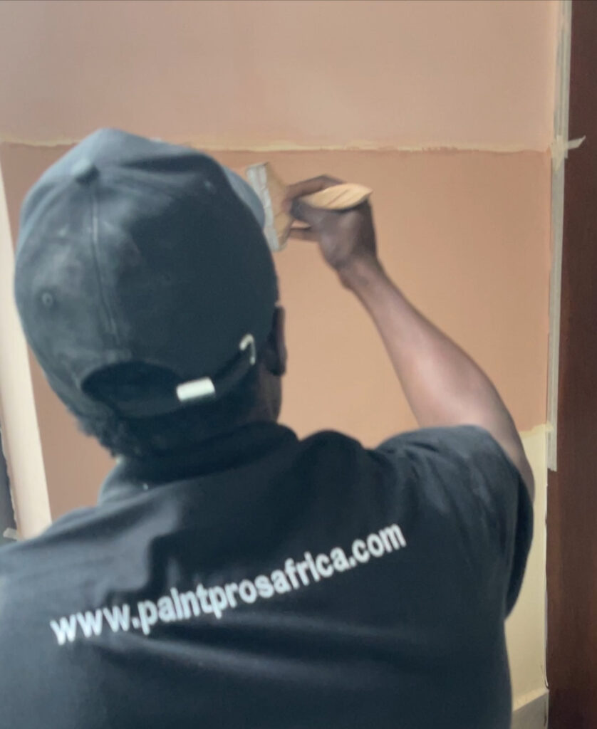 paint pros africa