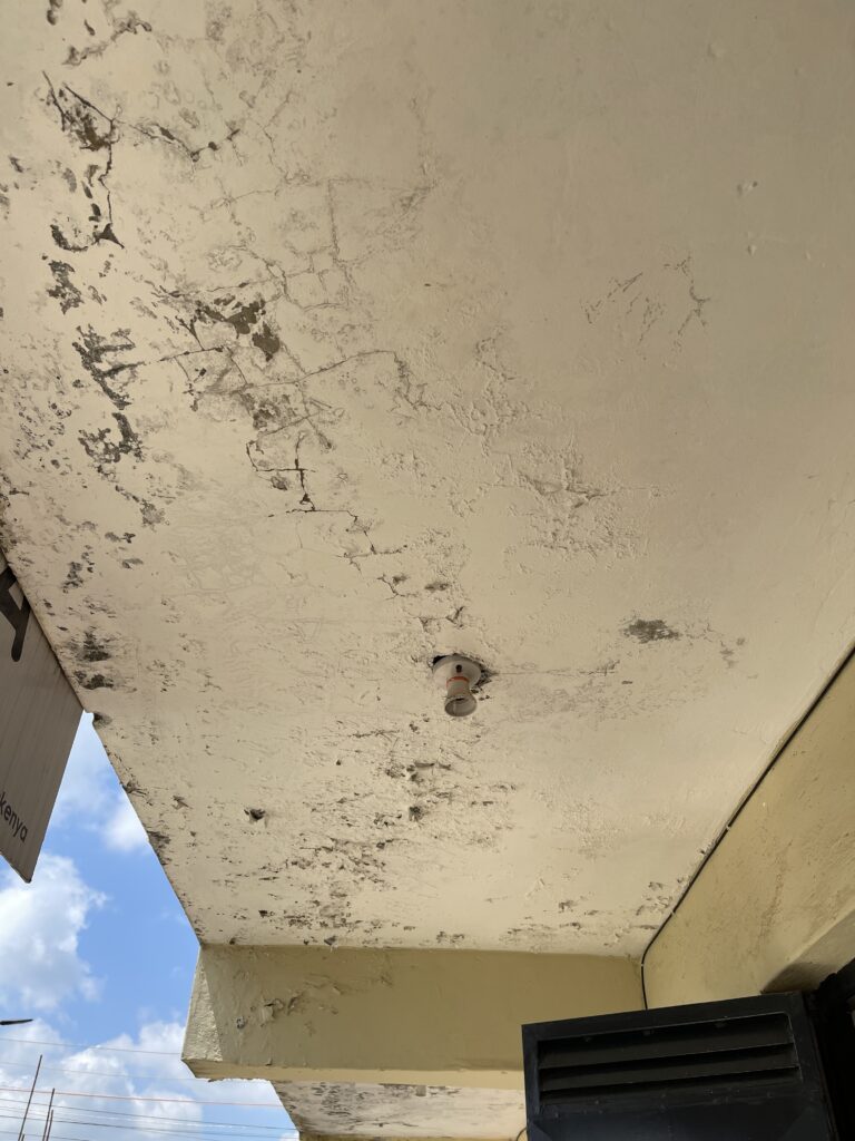 Why Does Paint Peel Off and How Can You Prevent It?